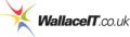 Wallace IT logo