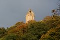 Wallace Monument image 9