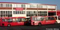 Warrington Borough Transport Ltd image 1