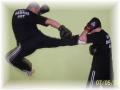 Warriors - Mixed Martial Arts image 3