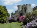 Warwick Castle image 6