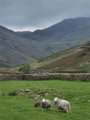 Wasdale Head image 3