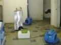 Water Damage Restoration Cardiff image 1