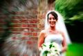 Wedding Photographer image 2