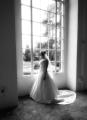 Wedding Photography | Portrait Photography by Wales Peter Dodgson Photographer logo