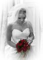 Wedding Photography burnley by Peter Anslow | Commercial photography |  Photos logo
