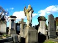 Welford Road Cemetery logo