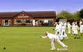Wellington Bowling Club image 1