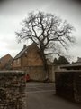 Wells Cathedral School image 1