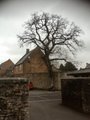 Wells Cathedral School logo