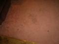 West Bridgford Carpet Cleaners image 3