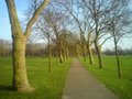 West Ham Park image 2