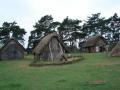 West Stow Anglo Saxon Village image 4