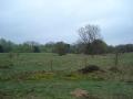 West Stow Anglo Saxon Village image 8