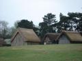 West Stow Anglo Saxon Village image 1