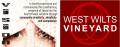 West Wilts Vineyard Church logo