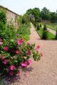 Westbury Court Garden image 7