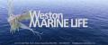 Weston Marine Life image 1