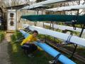 Wey to Row Junior Rowing Courses image 3