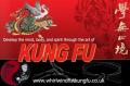 WhirlWind Fist Kung Fu (www.whirlwindfistkungfu.co.uk) image 1