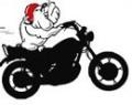 White Dog Motorcycles Accessories image 5