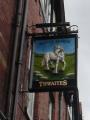 White Horse image 3