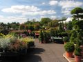 Whitehall Garden Centre Lacock (Chippenham) image 1