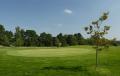 Wickham Park Golf Club image 5
