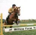 Willow Farm Equestrian Centre image 2