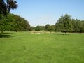 Wollaton Park image 7