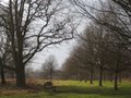 Wollaton Park image 10