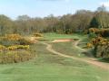 Woodbridge Golf Club image 2