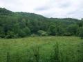 Woodchester Park image 4