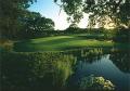 Woodhall Spa Golf Club image 4