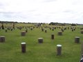 Woodhenge image 2