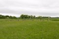 Woodhenge image 4