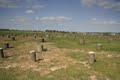 Woodhenge image 6