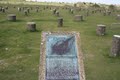 Woodhenge image 7