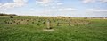 Woodhenge image 8