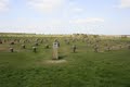 Woodhenge image 10