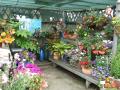Woodside Garden Centre image 3