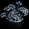 Wow Tiaras image 7