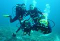 Wrecks and Reefs Diving image 3