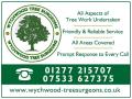 Wychwood Tree Surgeons image 2