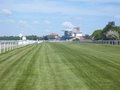 York Racecourse image 3