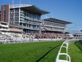York Racecourse image 4