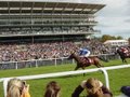York Racecourse image 6