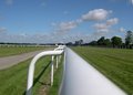 York Racecourse image 7