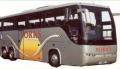 Yorks Coaches image 2