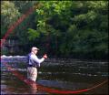 Yorkshire Dales Flyfishing Ltd image 3